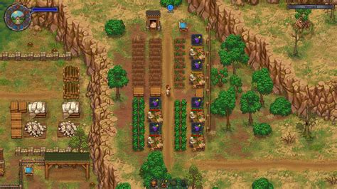 graveyard keeper zombie vineyard.